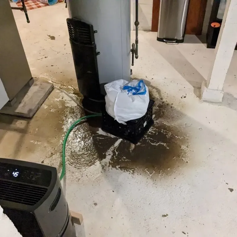 Sewage Backup Cleanup Service in Cresskill, NJ